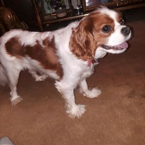 Meet your Posher, Terry